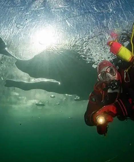 Taucher unter Eisdecke mit Taschenlampe und Sicherheitsleine im kalten grünen Wasser