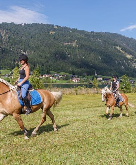 Reiter auf Haflingerpferden im Reiturlaub in Österreich