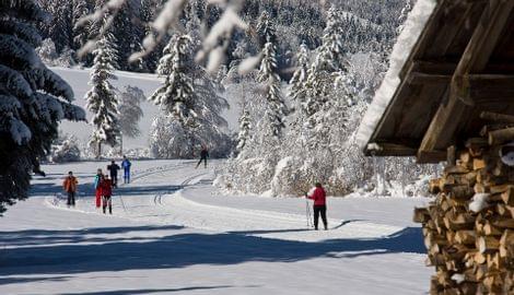 Langlaufen Weissensee