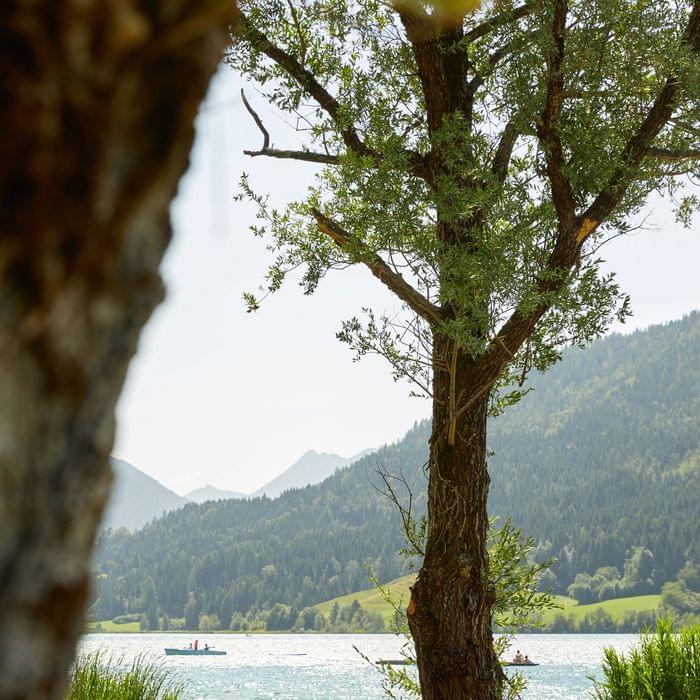 Holzbank unterm Baum mit Blick auf den Weissensee