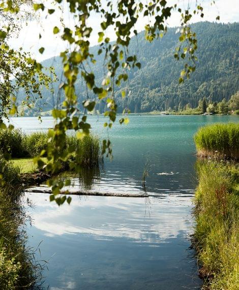 Blick auf den Weissensee - Hotel Lacus in Kärnten