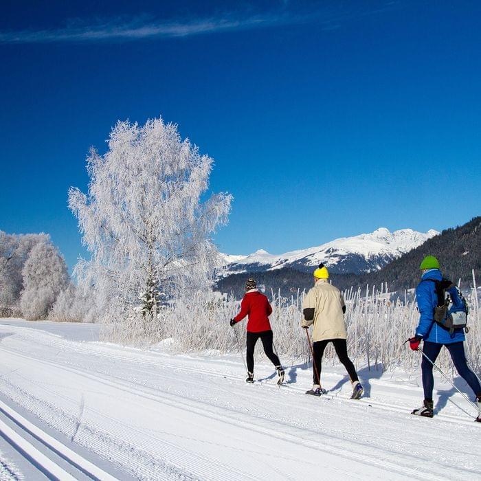 Langläufer auf schneebedeckter Loipe mit verschneiten Bäumen und Alpen im Hintergrund