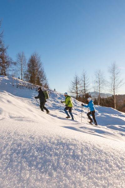 Winterwanderung Weissensee