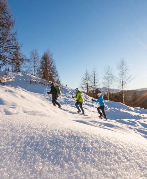 Winterwanderung Weissensee