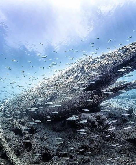 Einzigartige Unterwasserwelt im Weissensee