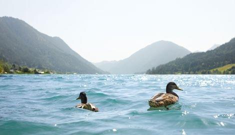 Weissensee in Kärnten