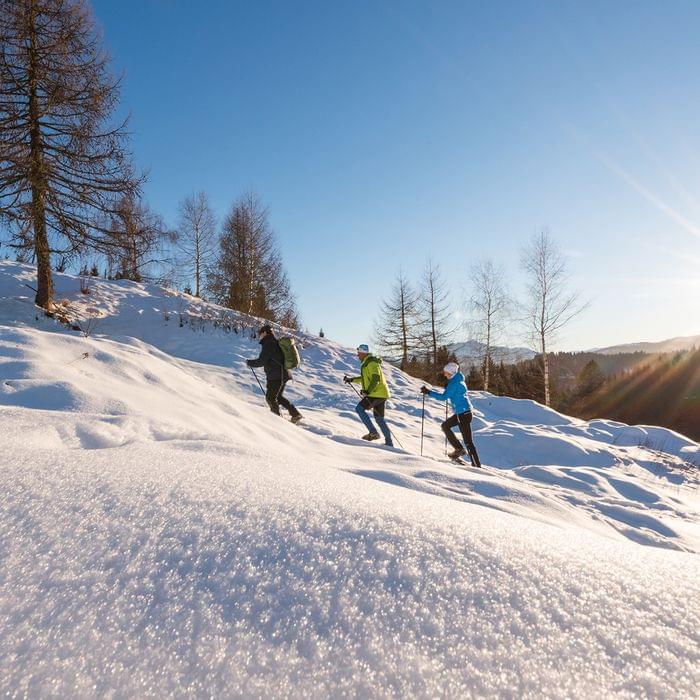 Winterwanderung Weissensee