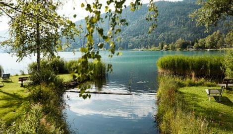 Idyllische Uferlandschaft mit klarem See, grüner Wiese und Bergen im Hintergrund